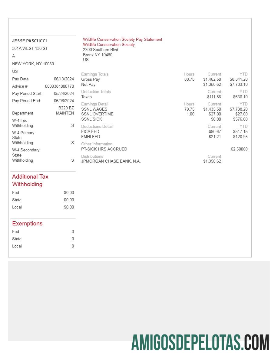 Realista Modelo de declaração de pagamento da Wildlife Conservation Society em formatos Word e PDF.pdf, 1